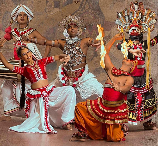 Product Description Image